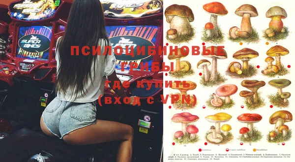 прущие грибы Алексеевка