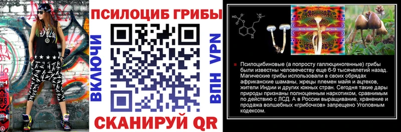 Псилоцибиновые грибы Psilocybine cubensis  Тула 